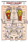 Foot Reflexology Anatomical Chart